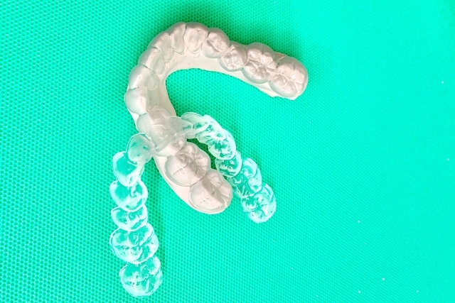 マウスガード マウスガード